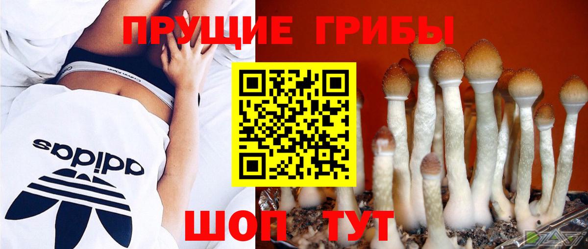 Галлюциногенные грибы прущие грибы Набережные Челны